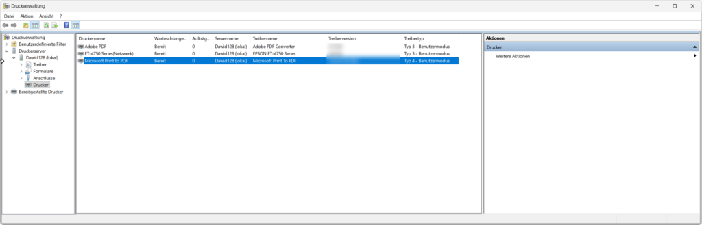 Windows Druckverwaltung mit Druckerserver, Treibern, Anschlüssen und einer Liste installierter Drucker